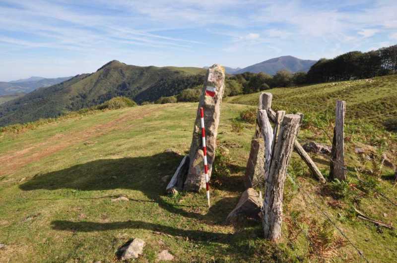 Navarra Autrin