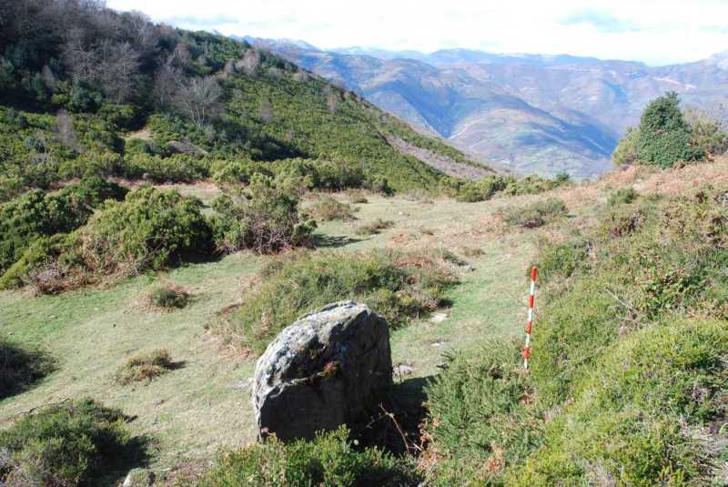 Asturias Padr&uacute;n